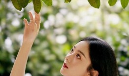 娱乐圈9条吃瓜爆料视频,揭秘明星背后的秘密与真相